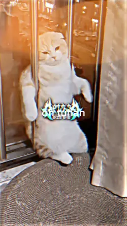 OH TUHAN 