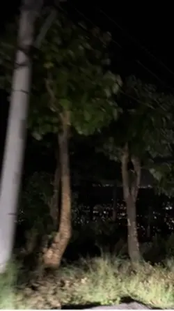 Night rides