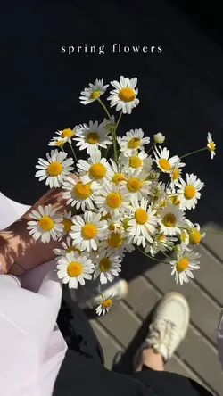 spring flowers