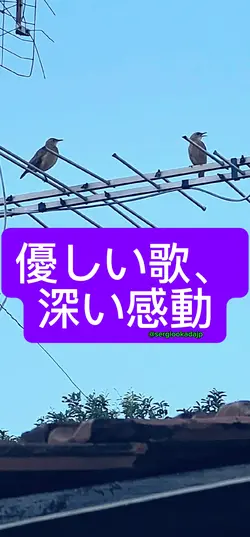 土の鳥