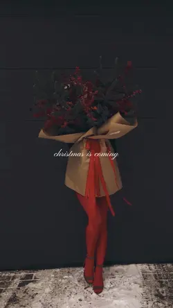 Christmas is coming