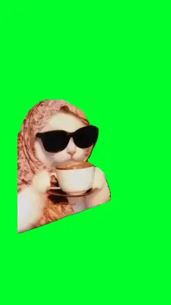 Cat sipping tea