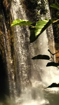 slowmotion velocity