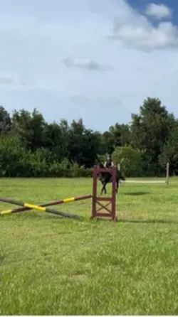 Horse events 