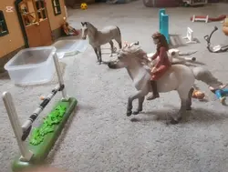 slowmo