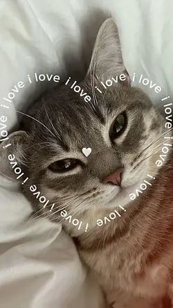 I love