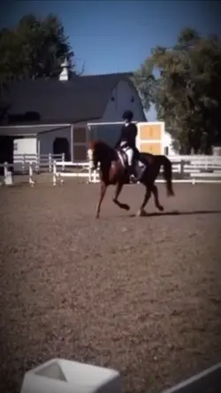 Trainer vs student 