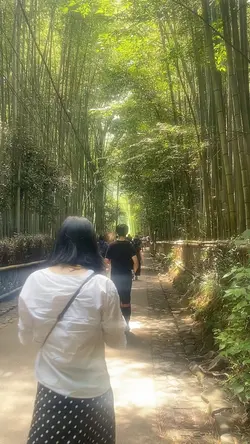 Japan 🇯🇵 