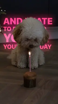 Hate birthdays 