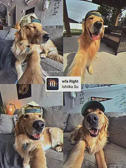 4pics 