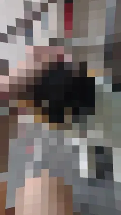 edit de mi gato 