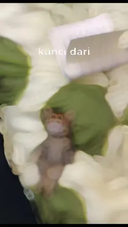 Kucing Sad