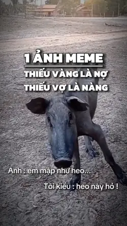 1 ảnh meme
