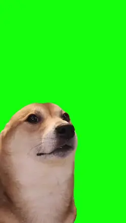 dog dance