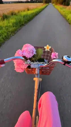 January Dump