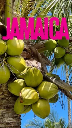 Jamaica Vacation 
