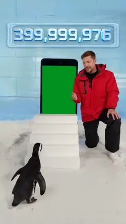 mr beast penguins 