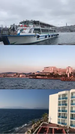 3 grid video