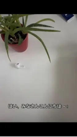 おしゃべり動画