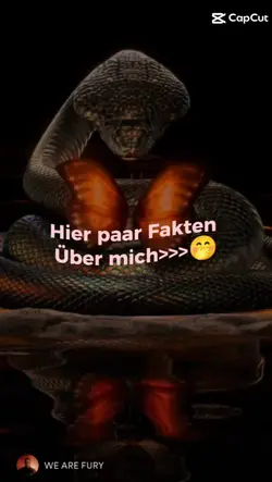 Fakten 