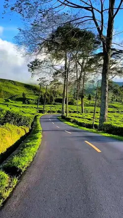 4 video road trip HD