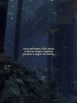 Aprendi com Jesus…