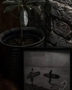 xói xám yêu xói đỏ