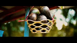 သုံးချင်တဲ့သူယူသုံး