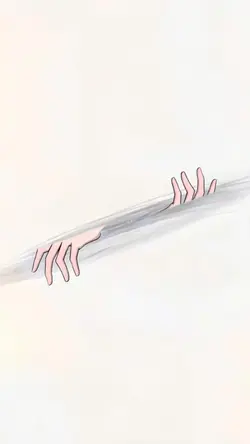 Tear Paper Transitio