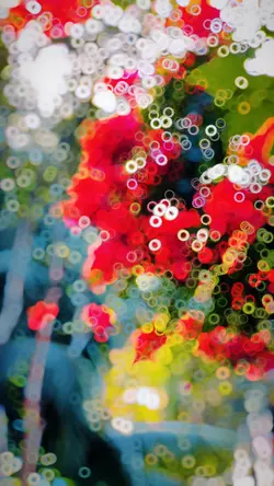 Slowmotion video 🌸❤️‍🔥✨