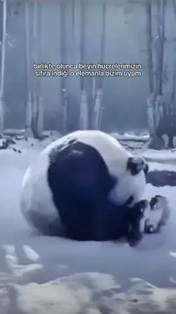 pandanın tatlılıkkk