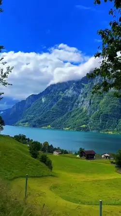 18 videos or photos 