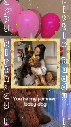celebrating Fur Baby