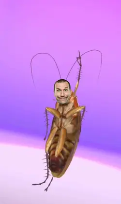 Cockroach Dancing 
