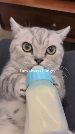 am always hungry 