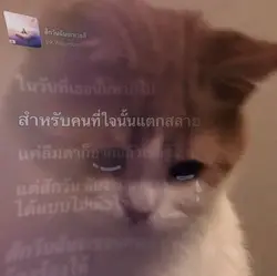 สักวันฉันจะหายดี
