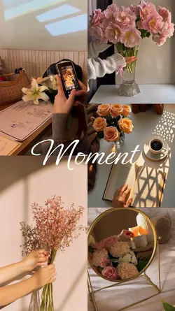 Moment