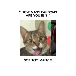 how many fandoms ??