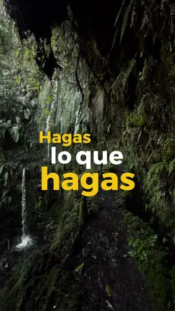 Consejo de vida