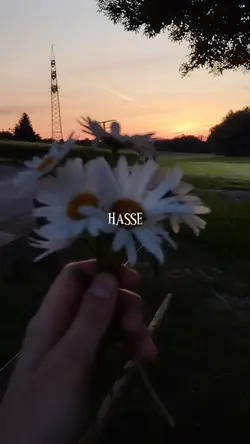 Ich hasse dich nicht