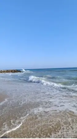 Deniz