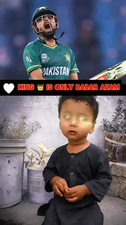 cricket lovers 