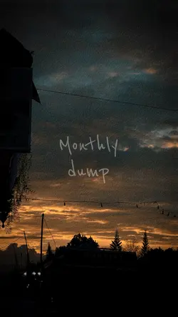 Monthly dump 📷