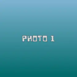 1 PHOTO #2