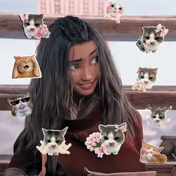 my shayla cat