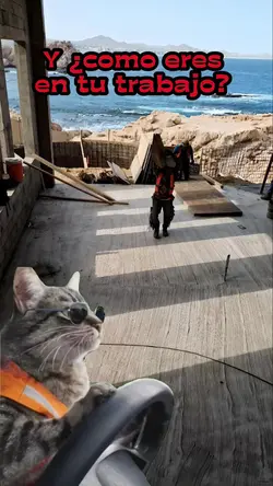 Guapo Misterioso