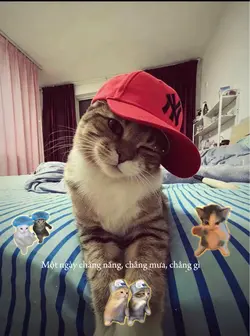 Trending Tik Tok 🩷💫🎶