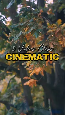 Cinematic 5 Videos
