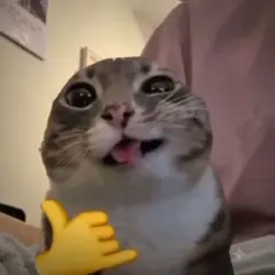 CAT EDIT