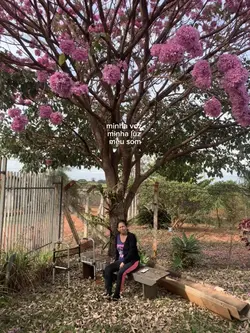 minha voz
